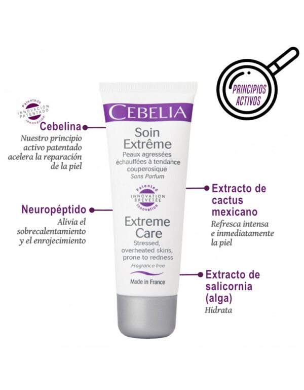 Extreme Care - Imagen 3