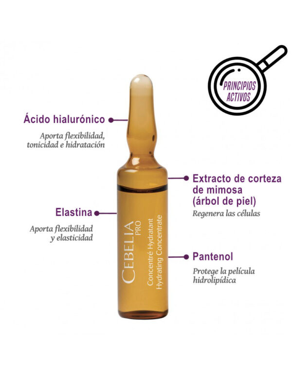Nº1 Concentrado Hidratante - Imagen 3